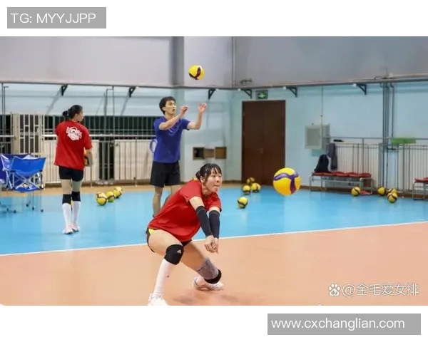 排球战术：上海排球队的控制体系