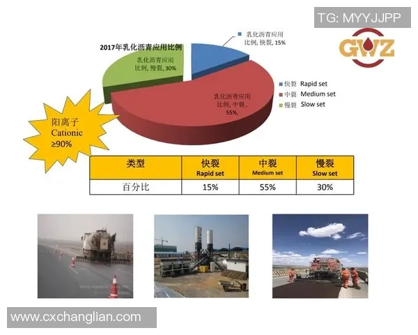 成都排球队边路渗透战术解析与实战应用探讨 成都排球队边路渗透战术解析与实战应用探讨