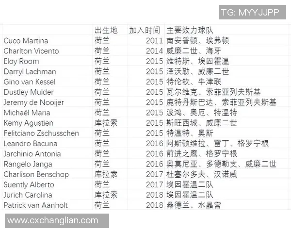 美国老板足球的崛起与挑战：解析其对全球足球市场的影响与未来发展