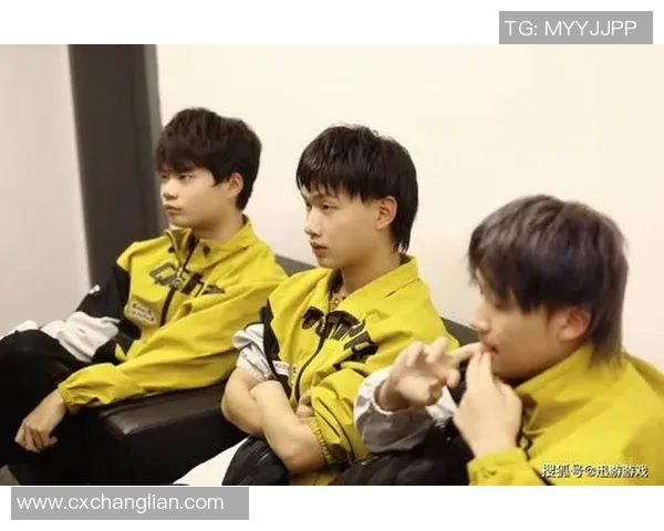 王者荣耀深度分析：全面解读BLG战队的实力与战术优势