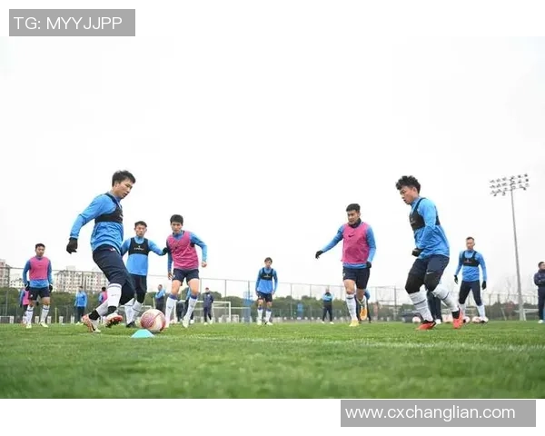 重磅专题:杭州排球队如何实现整体压制与战术革新之路 重磅专题:杭州排球队如何实现整体压制与战术革新之路