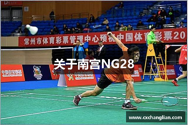 关于南宫NG28